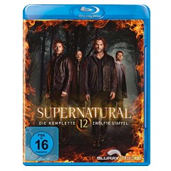 supernatural---die-komplette-zwoelfte-staffel-blu-ray---uv-copy-de.jpg supernatural---die-komplette-zwoelfte-staffel-blu-ray---uv-copy-de.jpg