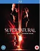 Supernatural: The Complete Thirteenth Season (UK Import ohne dt. Ton) Blu-ray