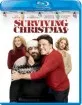 Surviving Christmas (2004) (US Import ohne dt. Ton) Blu-ray
