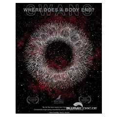 swans---where-does-a-body-end.webp