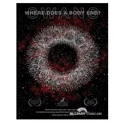 swans-where-does-a-body-end-uk-import.webp