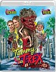 Tammy and the T-Rex (1994) - PG-13 and R-rated Cuts (Blu-ray + DVD) (US Import ohne dt. Ton) Blu-ray
