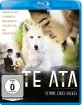Te Ata - Stimme eines Volkes Blu-ray