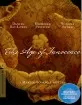The Age of Innocence - Criterion Collection (Region A - US Import ohne dt. Ton) Blu-ray