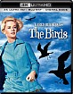 The Birds (1963) 4K (4K UHD + Blu-ray + Digital Copy) (US Import ohne dt. Ton) Blu-ray