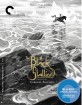 The Black Stallion - Criterion Collection (Region A - US Import ohne dt. Ton) Blu-ray