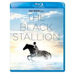 the-black-stallion-us.jpg