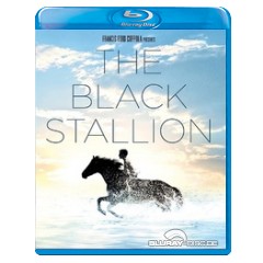 the-black-stallion-us.webp