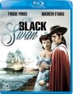 The Black Swan (1942) (US Import ohne dt. Ton) Blu-ray