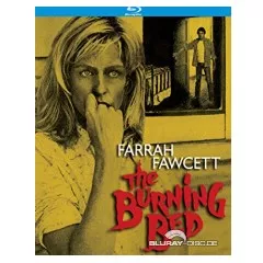 the-burning-bed-1984-us.webp