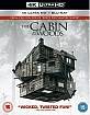 The Cabin In The Woods 4K (4K UHD + Blu-ray) (UK Import ohne dt. Ton) Blu-ray