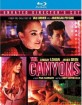 The Canyons (2013) - Unrated Director's Cut (Region A - US Import ohne dt. Ton) Blu-ray