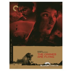the-cranes-are-flying-criterion-collection-us.jpg