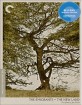 The Emigrants / The New Land - Criterion Collection (Region A - US Import ohne dt. Ton) Blu-ray