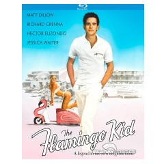the-flamingo-kid-1984-us.webp