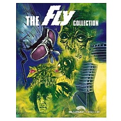 the-fly-collection-us-import.jpg