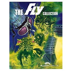 the-fly-collection-us-import.webp