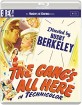 The Gang's All Here (Masters of Cinema) (UK Import ohne dt. Ton) Blu-ray