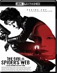 The Girl in the Spider's Web 4K (4K UHD + Blu-ray + Digital Copy) (US Import ohne dt. Ton) Blu-ray