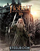 The Hobbit: The Desolation of Smaug 3D - Limited Edition Steelbook (Blu-ray 3D + Blu-ray) (KR Import ohne dt. Ton) Blu-ray
