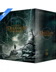 The Hobbit: The Desolation of Smaug 4K - Theatrical & Extended Cut - Blufans Exclusive #104 Limited Edition Steelbook - One-Click Box Set (4K UHD + Blu-ray) (CN Import ohne dt. Ton) Blu-ray