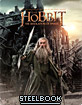 The Hobbit: The Desolation of Smaug - Limited Edition Steelbook (KR Import ohne dt. Ton) Blu-ray