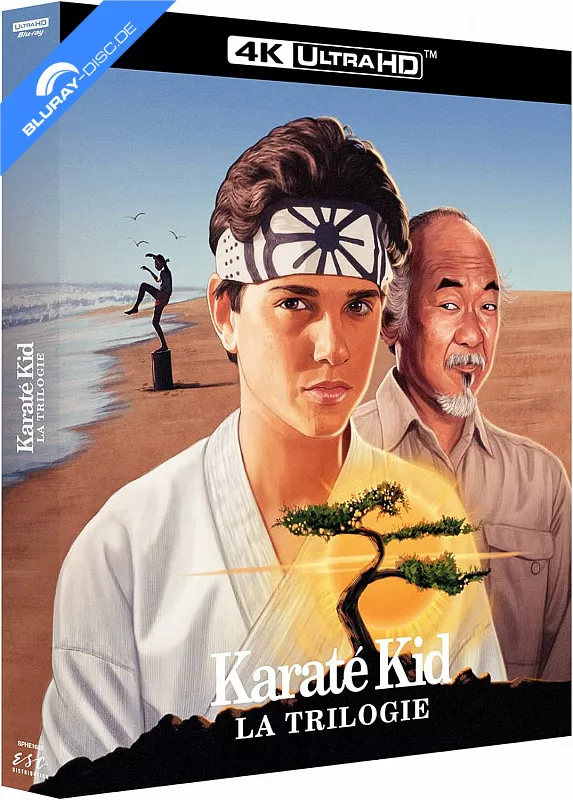 the-karate-kid-collection-4k---la-trilogie-cofanetto-4k-uhd-fr-import.webp