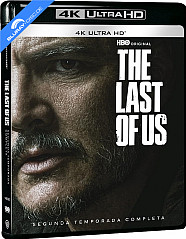 the-last-of-us-segunda-temporada-completa-4k-es-import_klein.jpg