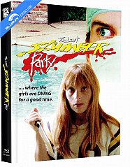 the-last-slumber-party-limited-mediabook-edition-cover-d-blu-ray---dvd_klein.jpg