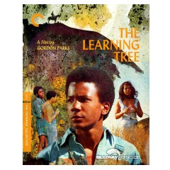 the-learning-tree-the-criterion-collection-us.jpg
