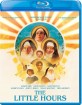 The Little Hours (2017) (Region A - US Import ohne dt. Ton) Blu-ray