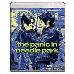 the-panic-in-needle-park-us.webp