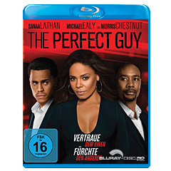 the-perfect-guy-DE.webp
