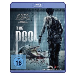the-pool-2018-final.jpg the-pool-2018-final.jpg