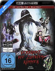 the-return-of-the-living-dead---verdammt-die-zombies-kommen-4k-4k-uhd---blu-ray-de_klein.jpg