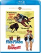 The Rounders (1965) - Warner Archive Collection (US Import ohne dt. Ton) Blu-ray