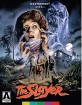 The Slayer (1982) - Special Edition (Blu-ray + DVD) (Region A - US Import ohne dt. Ton) Blu-ray