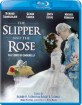 The Slipper and the Rose: The Story of Cinderella (1976) (Region A - US Import ohne dt. Ton) Blu-ray