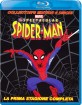 The Spectacular Spider-Man: Stagione 1 (IT Import ohne dt. Ton) Blu-ray