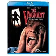 the-vagrant-1992-us.webp
