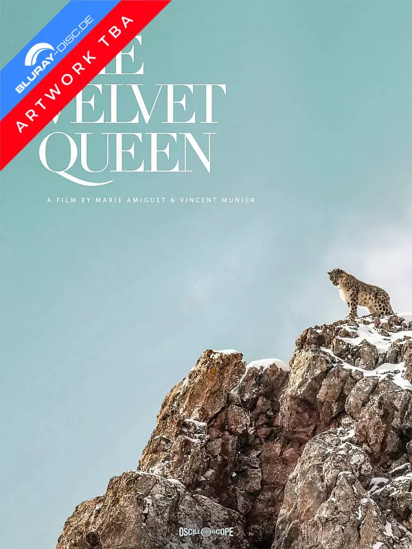 the-velvet-queen-us-import-draft.webp
