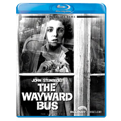 the-wayward-us.webp