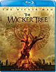 The Wicker Tree (Region A - US Import ohne dt. Ton) Blu-ray