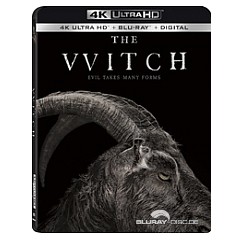 the-witch-2015-4k-us-import.jpg