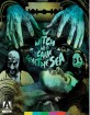 The Witch Who Came from the Sea (1976) - Special Edition (Region A - US Import ohne dt. Ton) Blu-ray