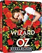 The Wizard of Oz 4K - Limited Edition Steelbook (4K UHD + Blu-ray) (CZ Import) Blu-ray