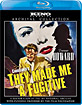 They Made Me a Fugitive - I Became a Criminal (1947) (US Import ohne dt. Ton) Blu-ray