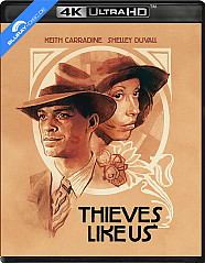 Thieves Like Us (1974) 4K (4K UHD + Blu-ray) (US Import ohne dt. Ton) Blu-ray