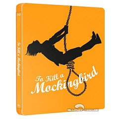 to-kill-a-mockingbird-zavvi-exclusive-limited-edition-steelbook-uk-import.jpeg