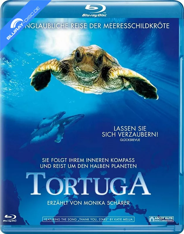 tortuga---die-unglaubliche-reise-der-meeresschildkroete-ch-import-neu.webp
